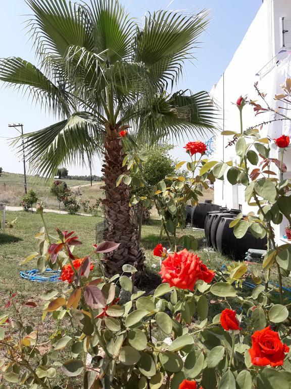 Néa Fókaia Villagiannis المظهر الخارجي الصورة